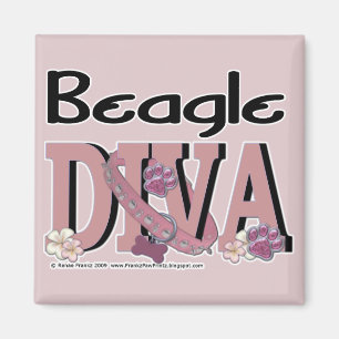 Imán Beagle DIVA