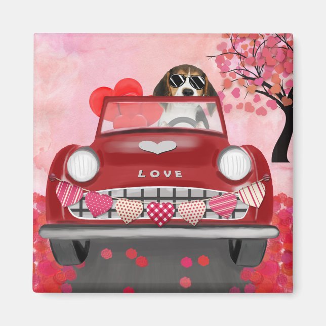 Imán Beagle Dog Driving Car with Hearts Valentine's  (Frente)