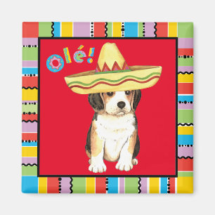 Imán Beagle Fiesta