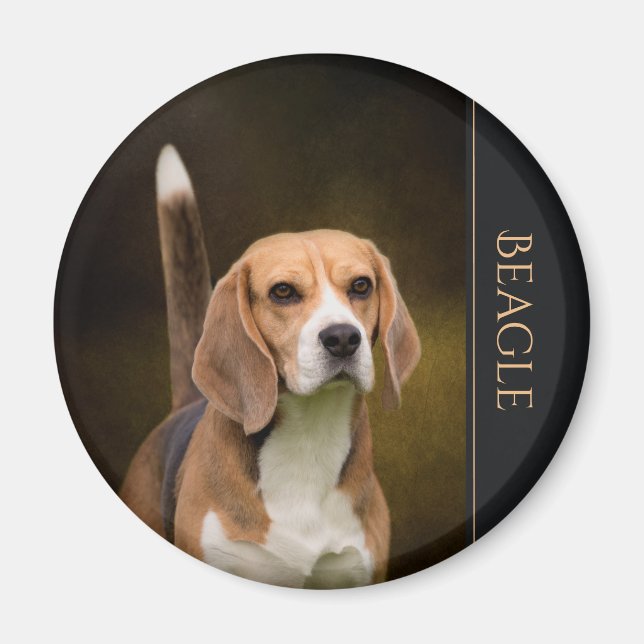 Imán Beagle Fridge Magnet (Frente)