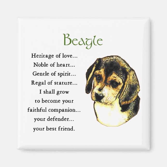 Imán Beagle Gifts (Frente)