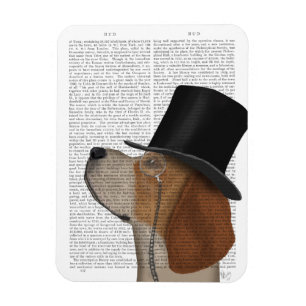 Imán Beagle, hebilla formal y Gorra