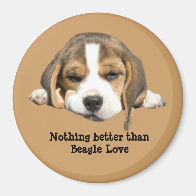 Imán Beagle Magnet (Frente)