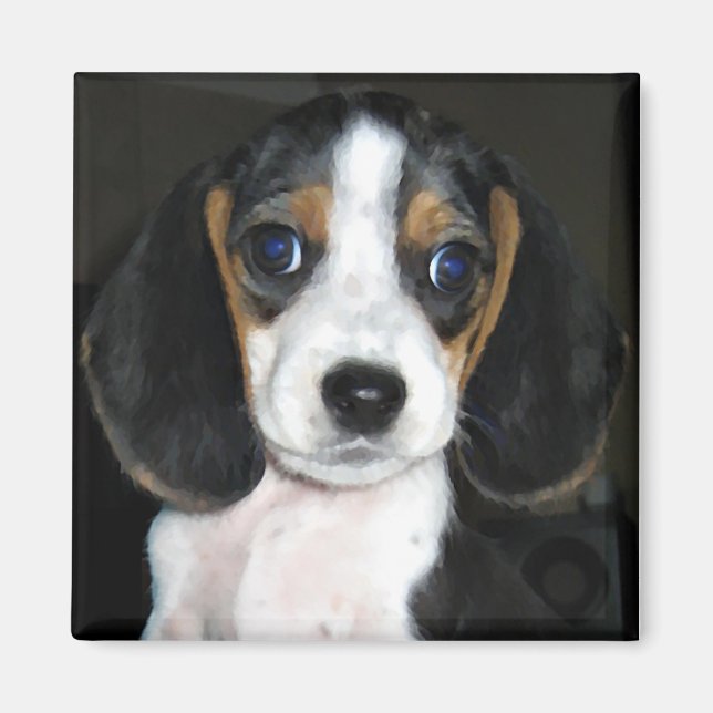 Imán Beagle Magnet 2 (Frente)