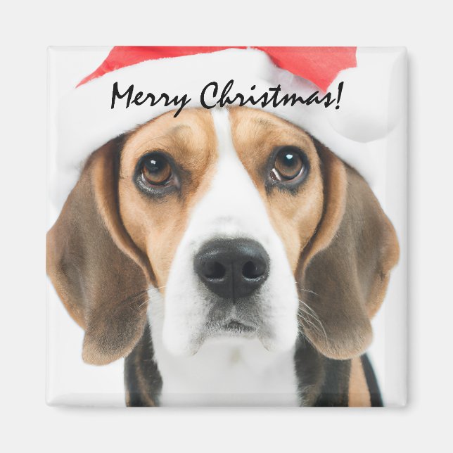 Imán Beagle Navidades (Frente)