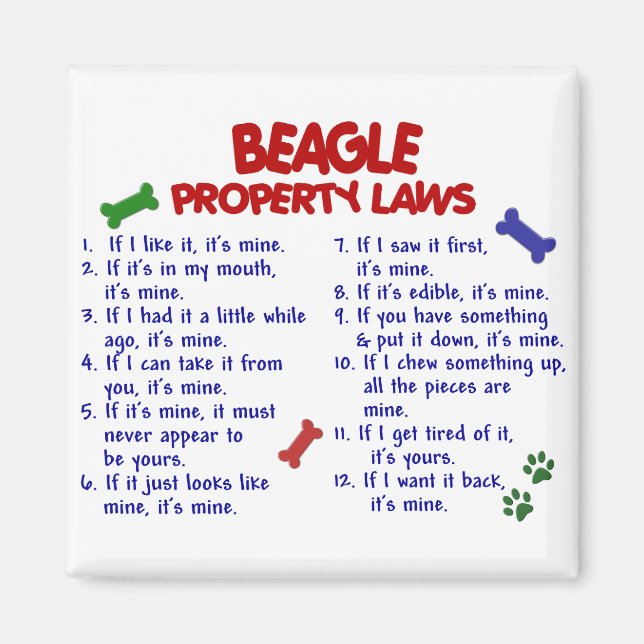 Imán BEAGLE Property Laws 2 (Frente)