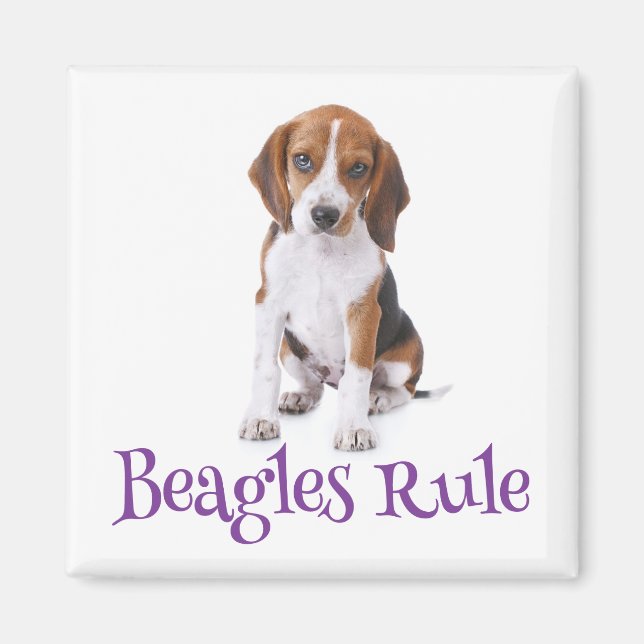 Imán Beagle Puppy Dog Fridge Magnet (Frente)