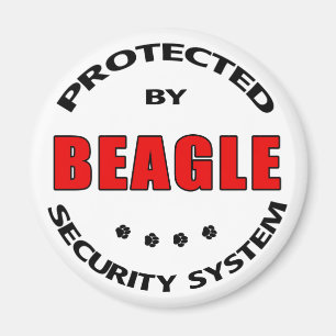 Imán Beagle Security