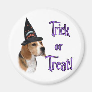 Imán Beagle Trick