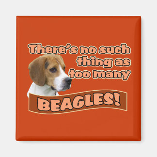 IMÁN BEAGLES