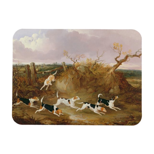 Imán Beagles in Full Cry, 1845 (aceite sobre lienzo) (Horizontal)