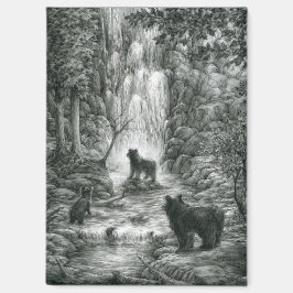 Imán Bear Cubs Visit the Falls