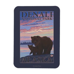 Imán Bear y Cub - Parque Nacional Denali, Alaska