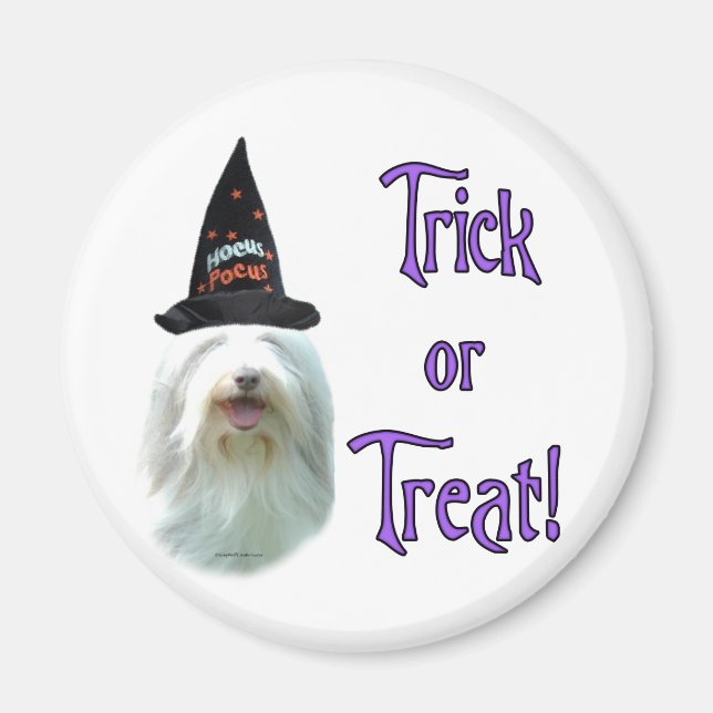 Imán Bearded Collie Trick (Frente)