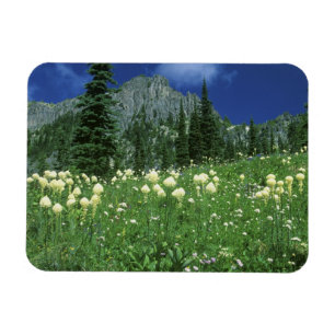 Imán Beargrass en el lago Eunice, Mt. Rainier NP, WA,