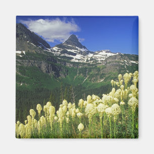 Imán Beargrass en el paso Logan en el Parque Nacional G