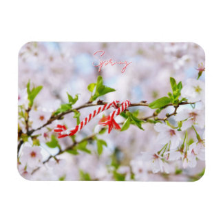 Imán Beautiful spring greeting