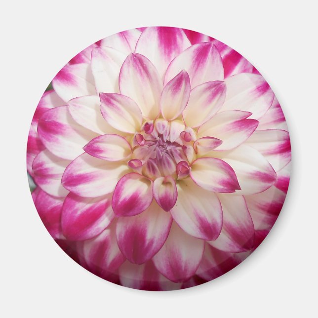 Imán Beaux (Frente)