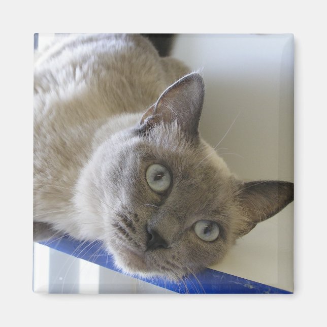 Imán Bebé (Frente)