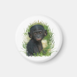 Imán Bebé Bonobo Ape