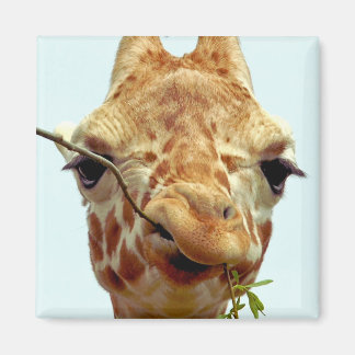 Imán bebé de jirafa divertida