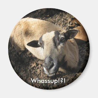 Imán Bebé del Black Oak Ranch