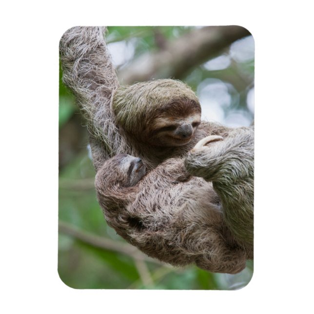 Imán Bebé espumoso con madre colgando de un árbol (Vertical)