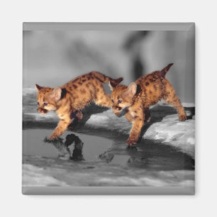 Imán Bebé leopardo