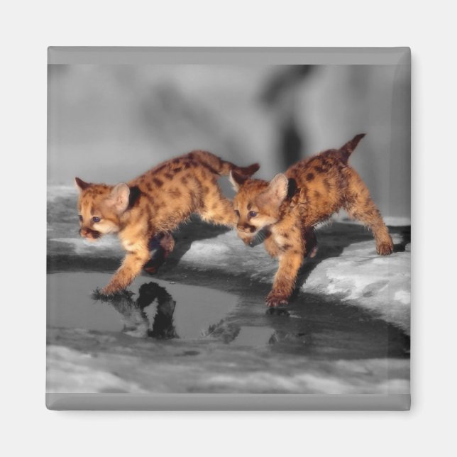 Imán Bebé leopardo (Frente)