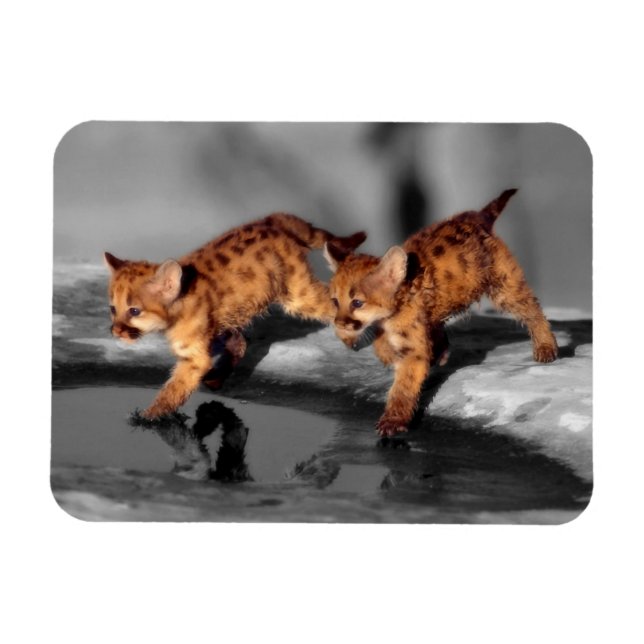 Imán Bebé leopardo (Horizontal)