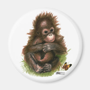 Imán Bebé orangután y mariposa