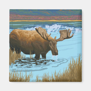 Imán Beber de alce en el lago - Yellowstone National