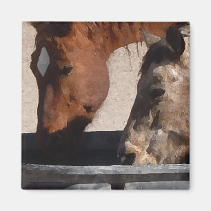 Imán Bebida sedienta de los caballos en el canal del