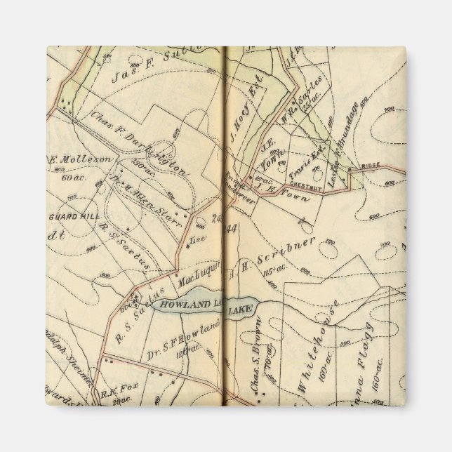 Imán Bedford, Nueva York (Frente)