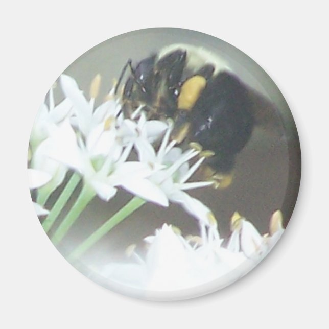 Imán Bee (Frente)