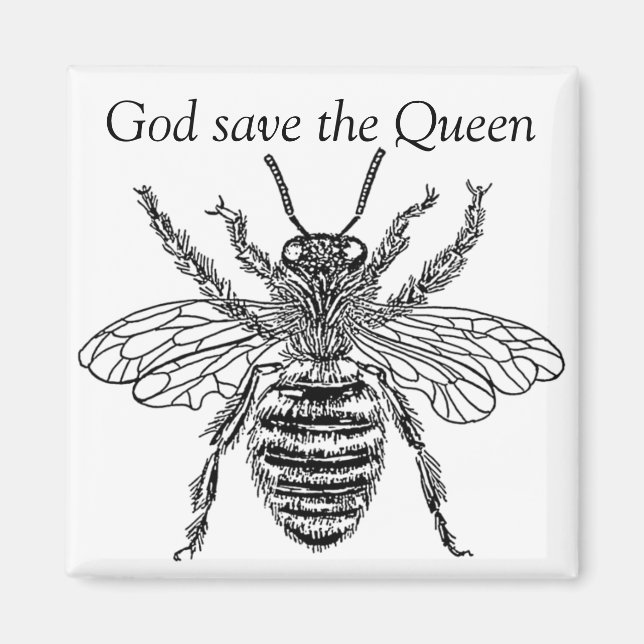 Imán bee buzzart queen (Frente)
