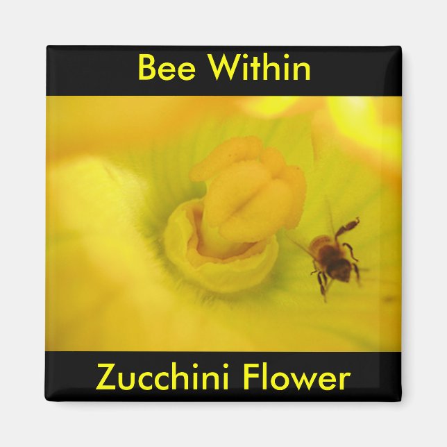 Imán Bee Dentro De La Flor De Zucchini (Frente)