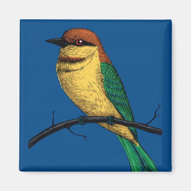Imán Bee eater (Frente)