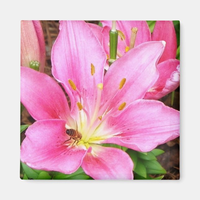 Imán Bee in a Lilly (Frente)