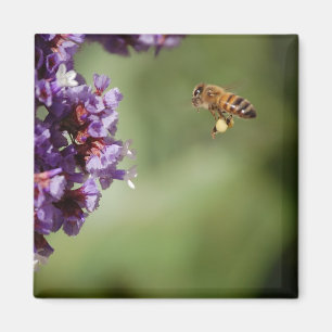 Imán Bee in Flight Magnet
