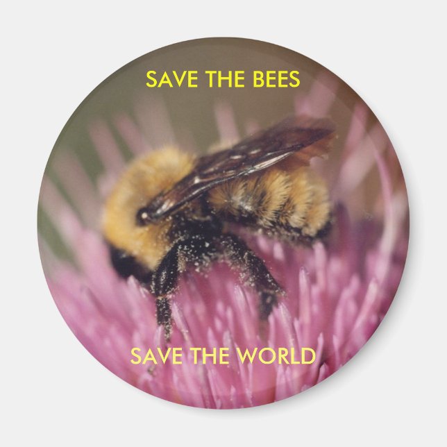Imán Bee Magnet (Frente)
