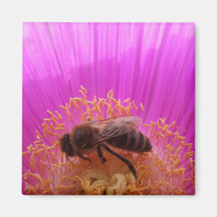Imán Bee Magnet