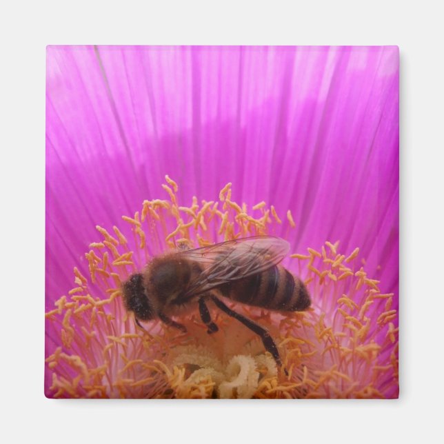 Imán Bee Magnet (Frente)
