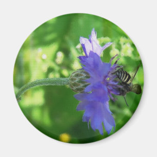 Imán Bee on Button Flower