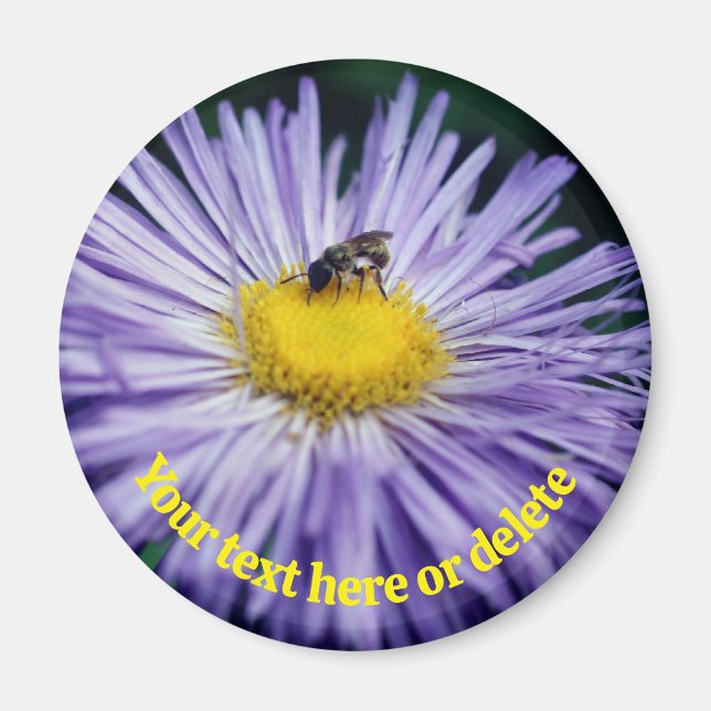 Imán Bee On Purple Daisy Flower Personalized (Frente)