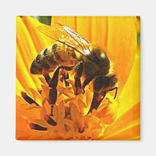 Imán Bee on the Flower