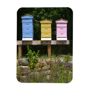 Imán Beehive