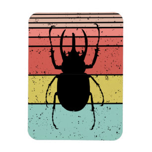 IMÁN BEETLE VINTAGE INSECT