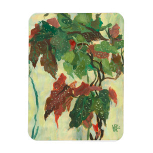 Imán Begonia Maculata Home Garden Plant Floral Pintura
