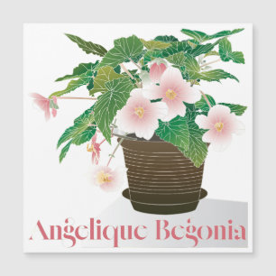 Imán Begonia Plano